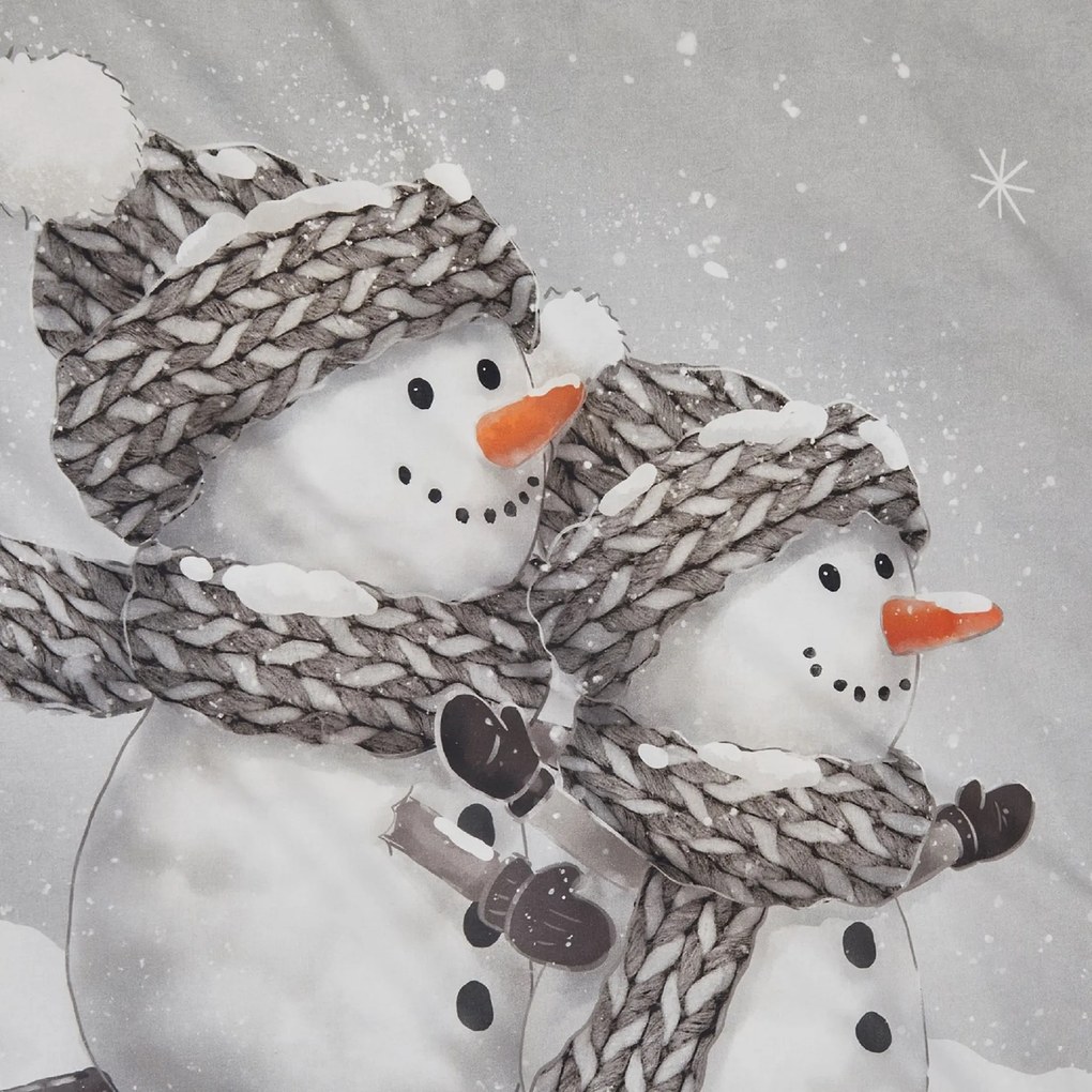 3D obliečky z Renforcé bavlny FROSTY sivé, 100% bavlna Rozmer obliečky: 80 x 80 cm | 135 x 200 cm