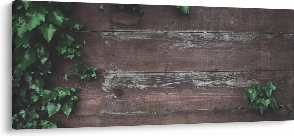 Obraz - Brečtan (120x50 cm)
