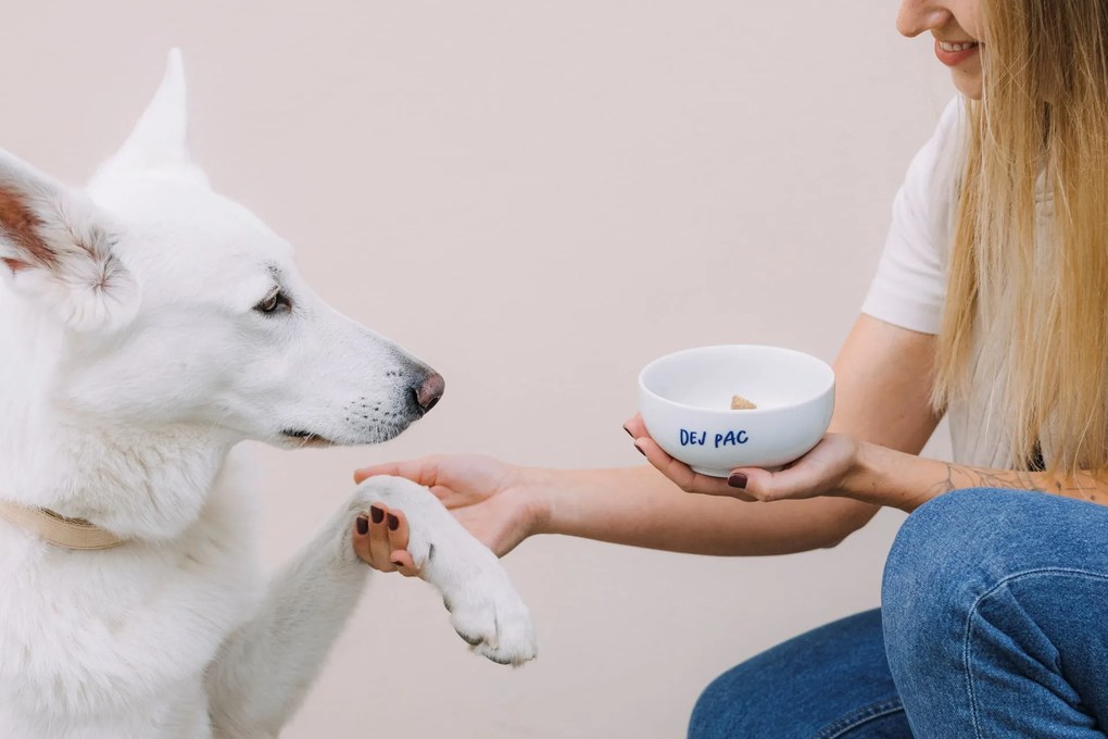 Bella Rose Porcelánová miska Dej pac  450 ml