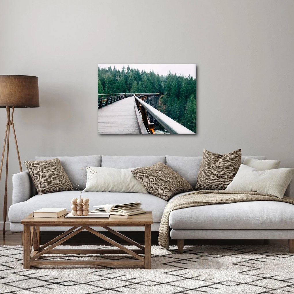 Obraz - Most k vrcholkom stromov (70x50 cm)