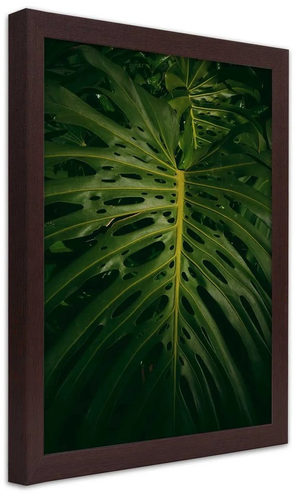 Gario Plagát Monstera - list z prírody Farba rámu: Bez rámu, Rozmery: 70 x 100 cm