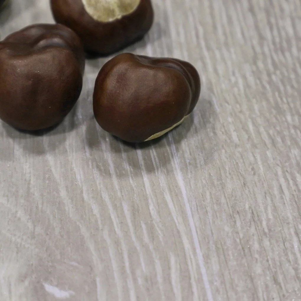 Beauflor, PVC podlaha - lino Texalino Supreme 900M Luxury Oak - dub, na mieru, šíře 2m,3m,4m,5m, šedá, filc, chodba / predsieň