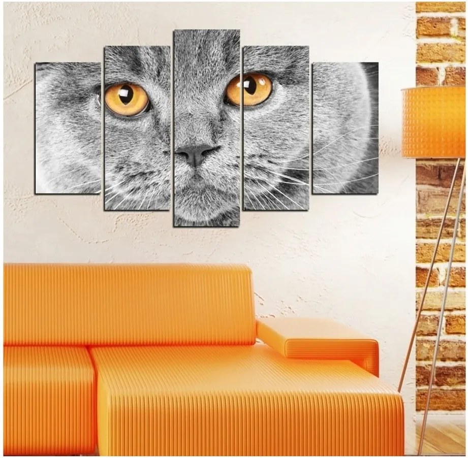 Viacdielny obraz Insigne Cat Eyes, 102 × 60 cm