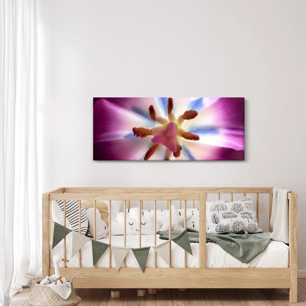 Obraz - Kvet tulipánu v detailu (120x50 cm)