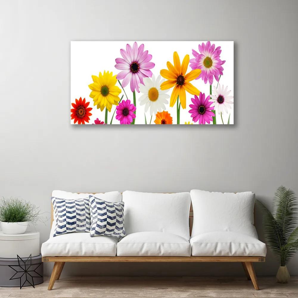 Obraz Canvas Farebné kvety príroda 140x70 cm