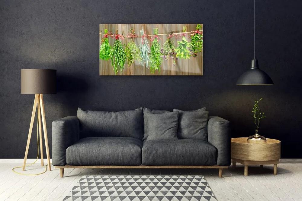 Obraz plexi Sušené byliny listy príroda 100x50 cm