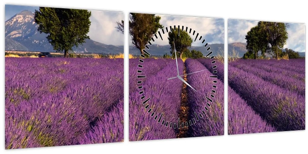 Obraz - Levanduľové pole a hory (s hodinami) (90x30 cm)
