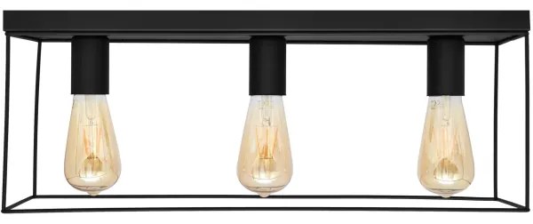 Stropné svietidlo FINN 3xE27/15W/230V čierna
