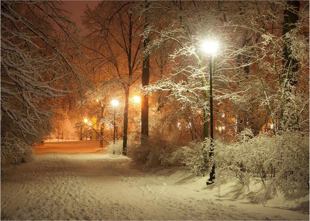Sklenený obraz - Zasnežený park (70x50 cm)