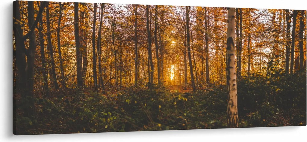 Obraz jesenného lesa (120x50 cm)