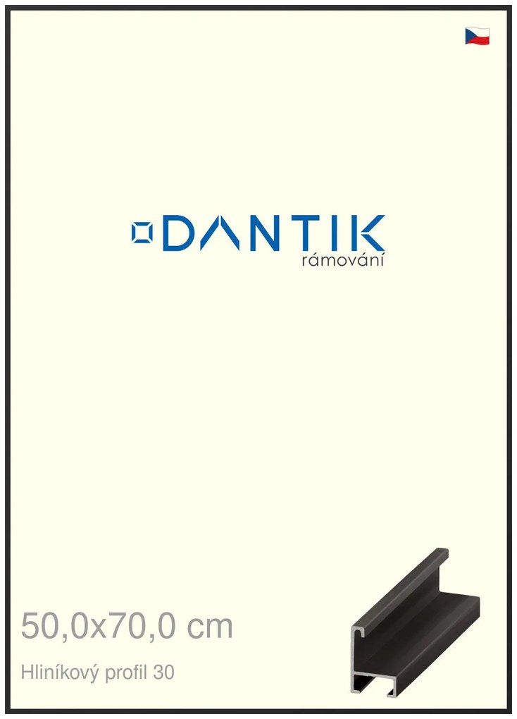 DANTIK rám na obraz 50x70 | ALU Černá matná (Plexi Čiré)