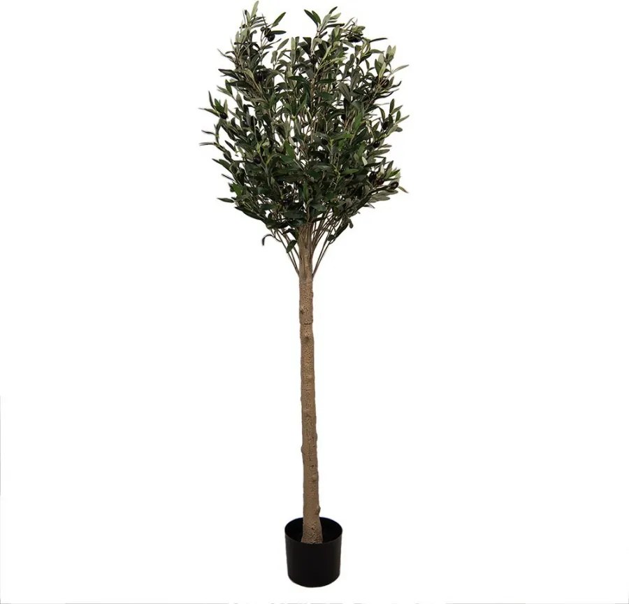 Dekorácia umelý stromček olivovník s olivami Olea Tree - 50*50*165 cm