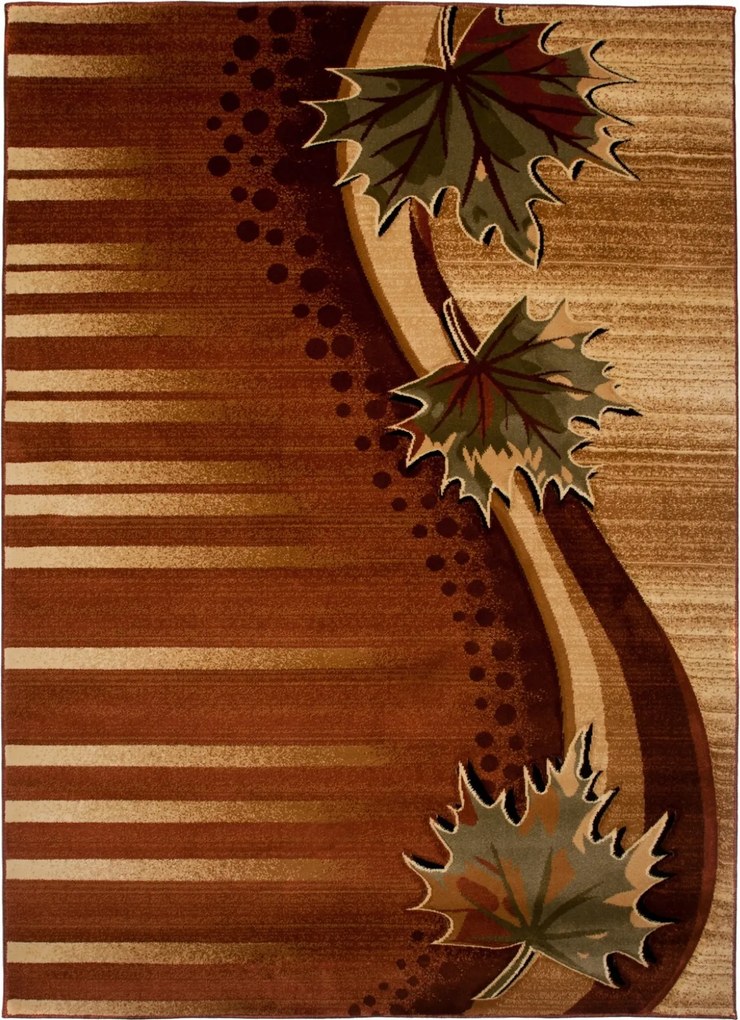 TA Koberec C657A HNEDÁ ANTOGYA Rozmer: 70X140 cm