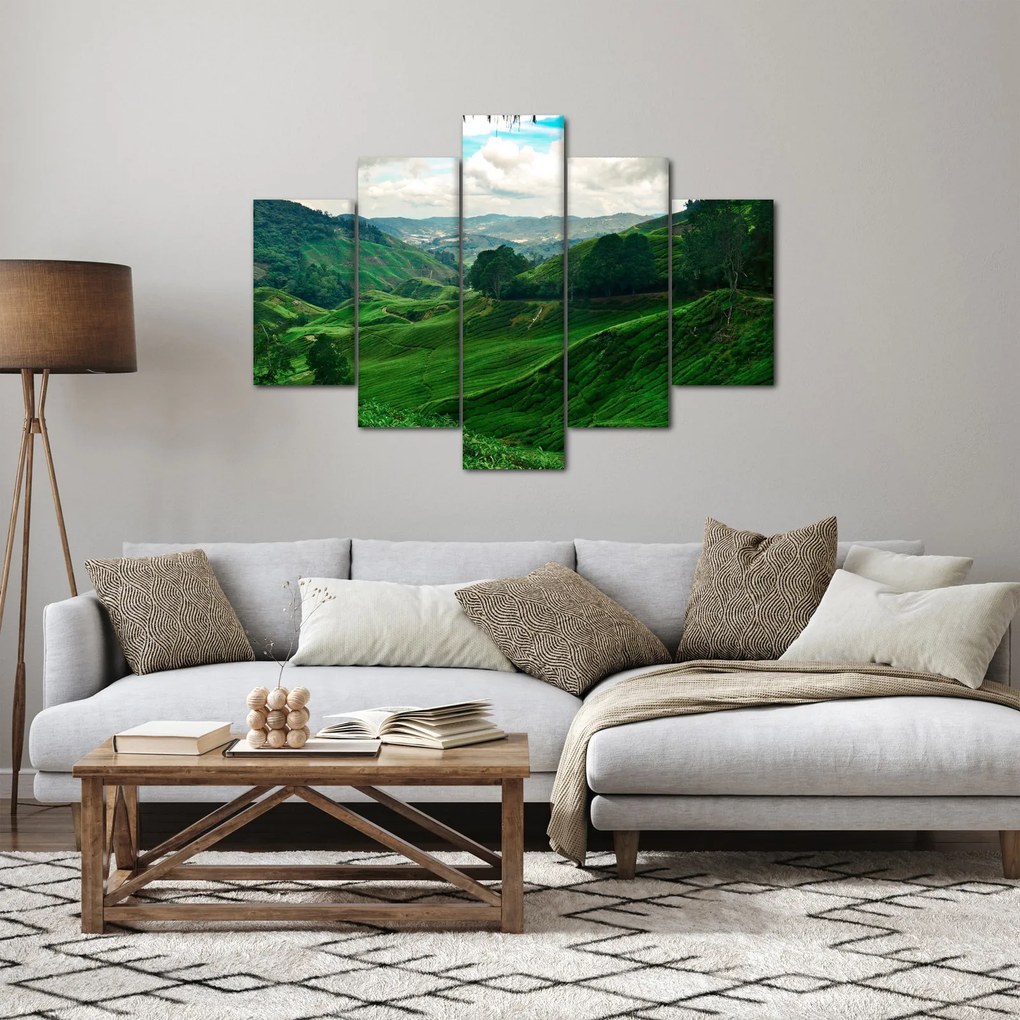 Obraz - Čajové plantáže v Malajzii (150x105 cm)