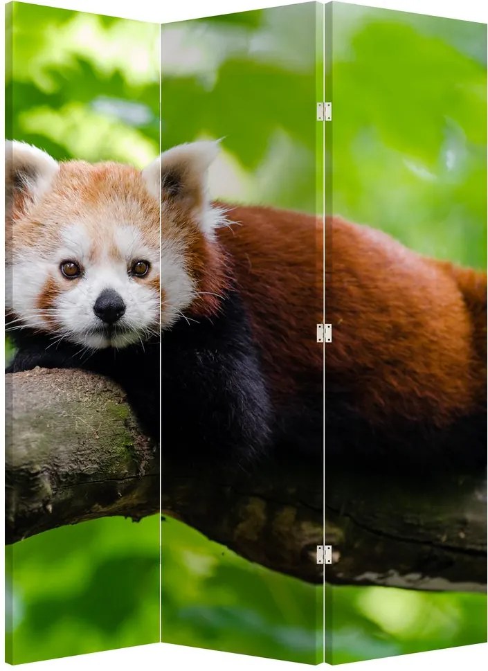 Paraván - Panda červená (126x170 cm)