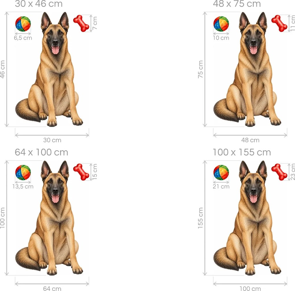 Usmievavý belgický ovčiak malinois maľované textilné nálepky na stenu pre milovníkov belgických ovčiakov arch 30 x 46 cm