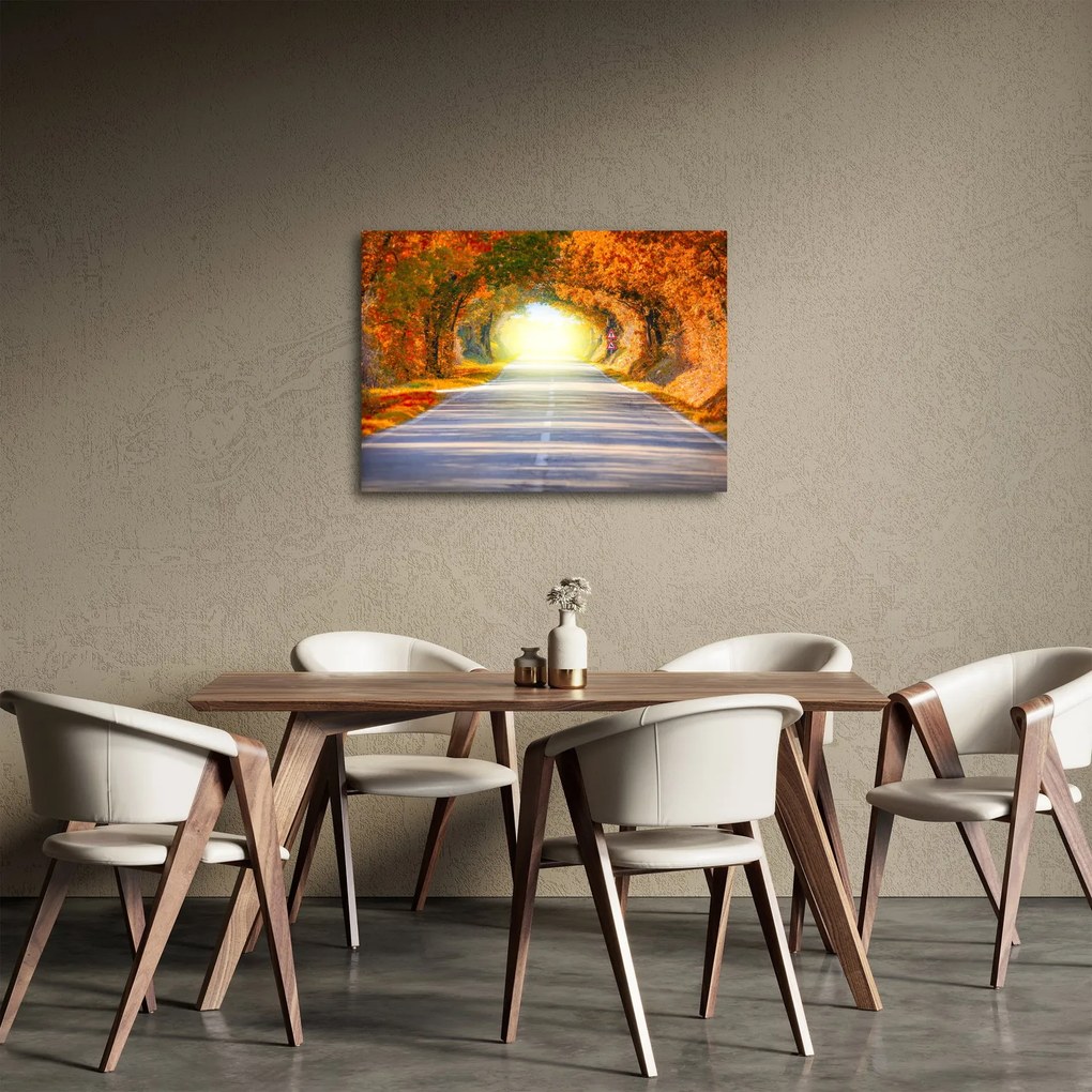 Obraz - Brána z korún stromov (70x50 cm)