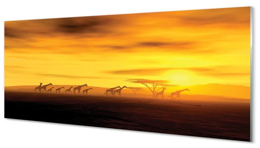 Obraz plexi Strom mraky neba žirafa 120x60 cm