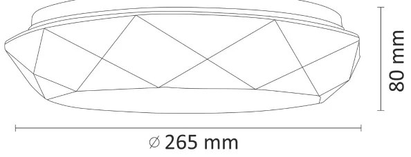 LED Stropné svietidlo SELINA LED/12W/230V