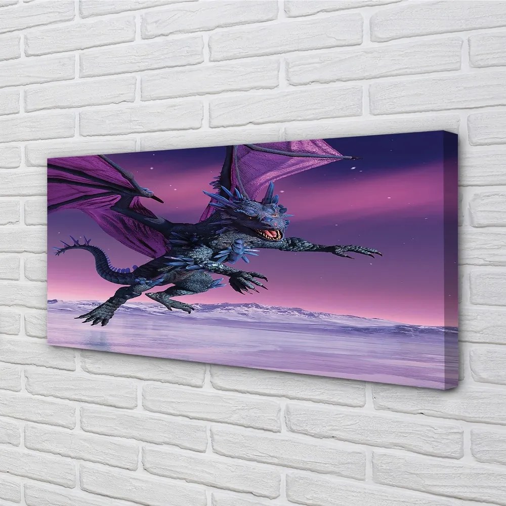 Obraz canvas Dragon pestré oblohy 100x50 cm