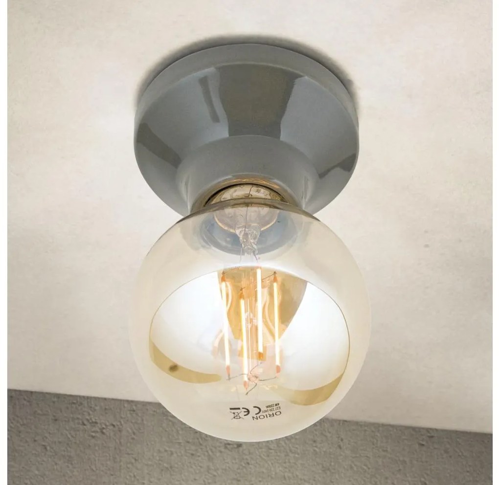 Orion - Stropné svietidlo FROST 1xE27/60W/230V sivé