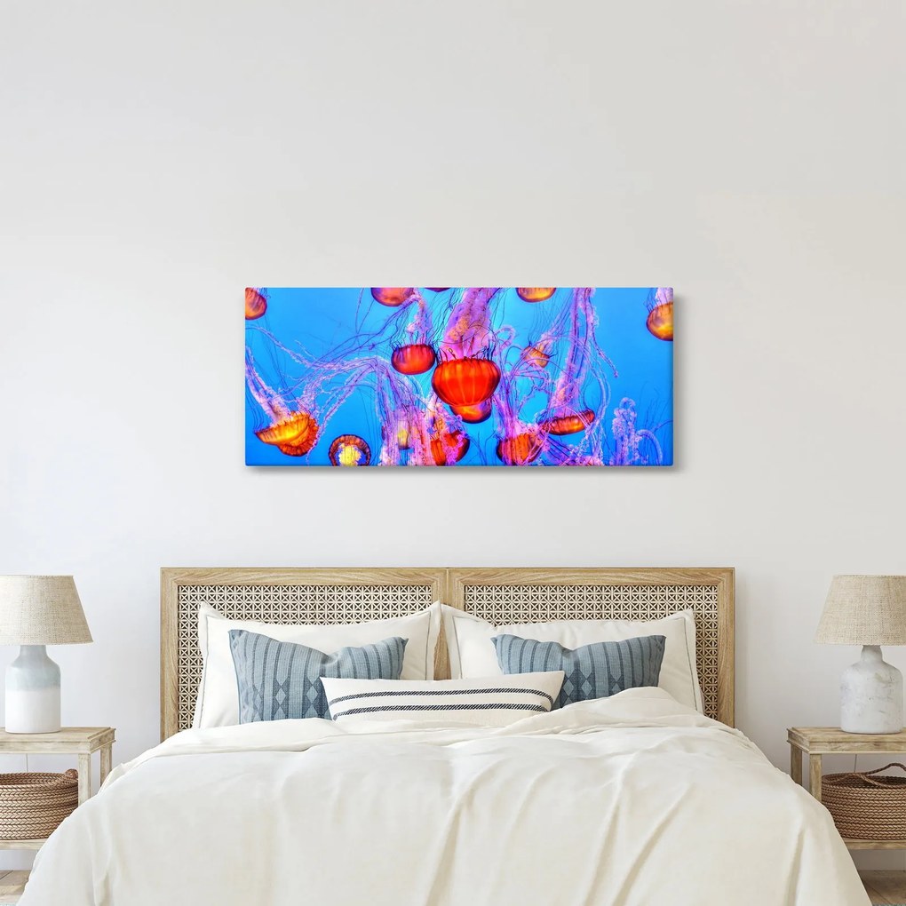 Obraz medúz v mori (120x50 cm)