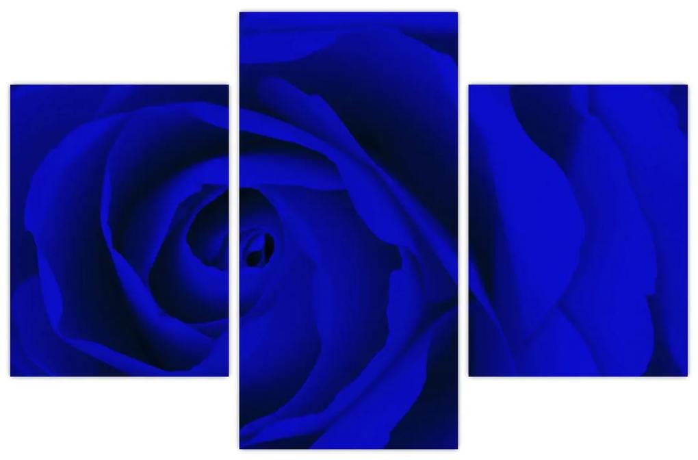 Detail modré ruže - obraz