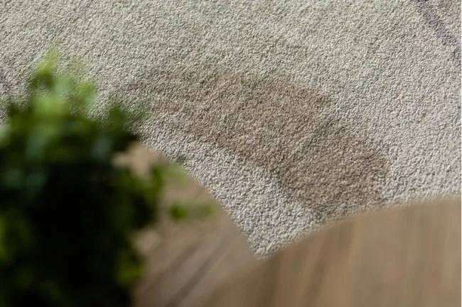 Koberec SOFT 8033  krém/svetlo hnedý