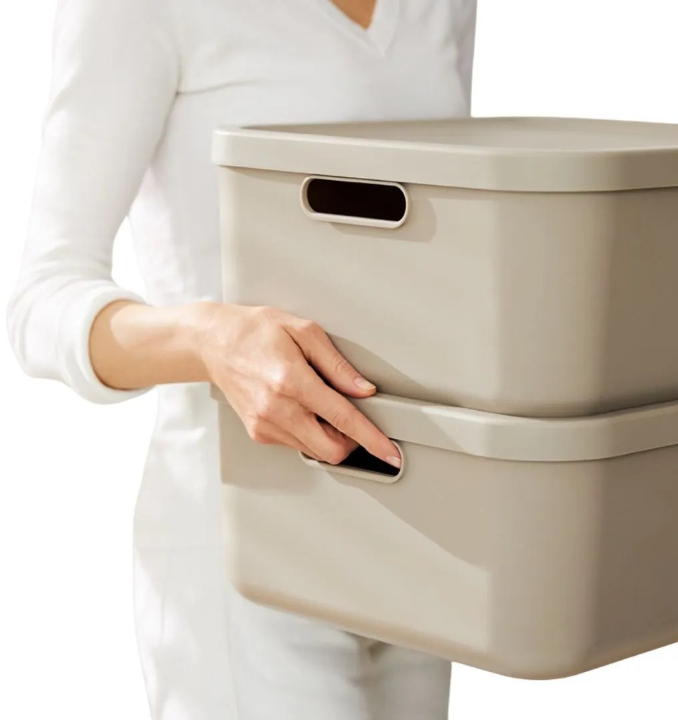 Rotho Úložný box, rovný s vekom, 20 l, cappuccino ALBU LIGHT, 40 x 36 x 18 cm