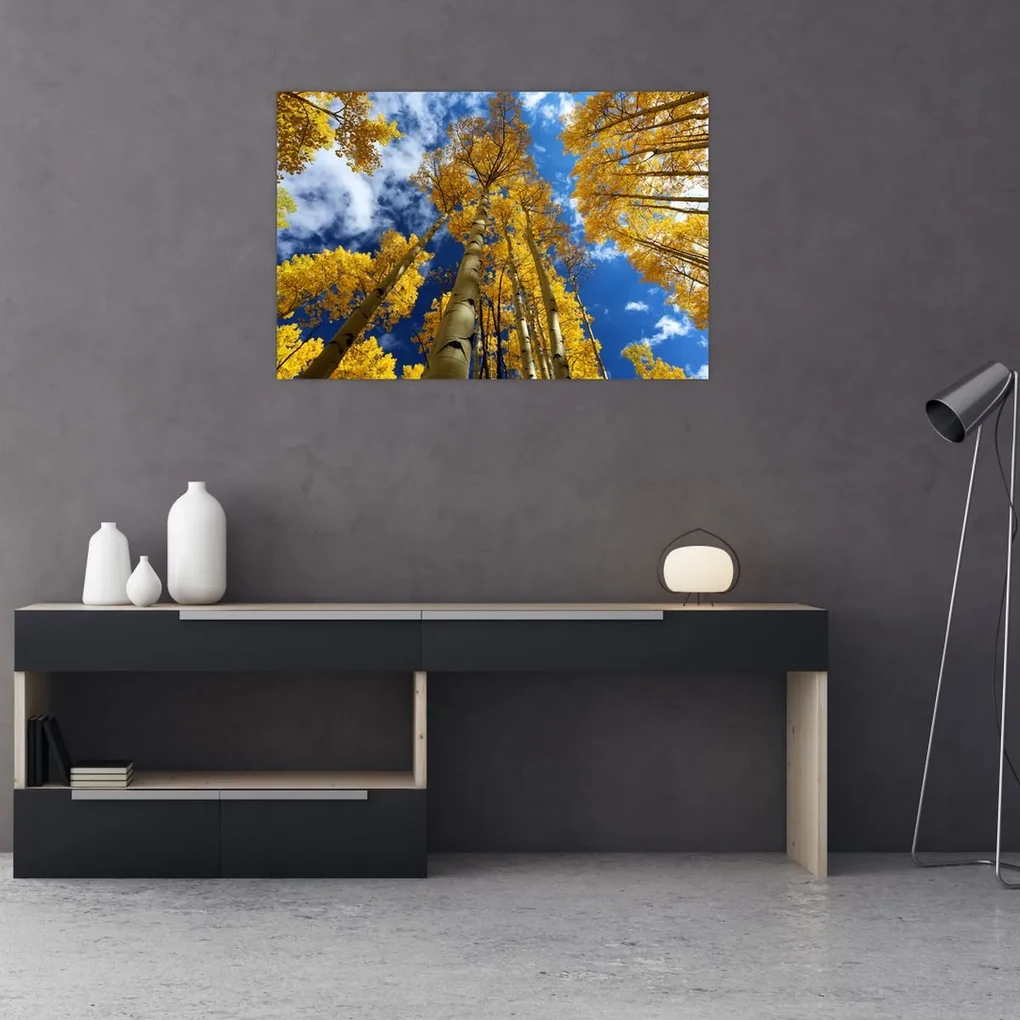 Obraz - Aspen (90x60 cm)