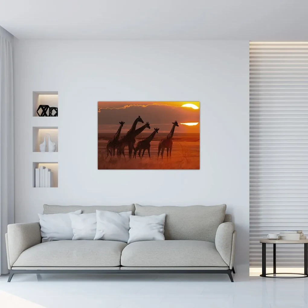 Obraz - Žirafy v africkej savane (90x60 cm)