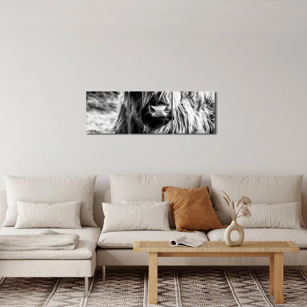 Obraz - Highland - Škótska krava (s hodinami) (90x30 cm)
