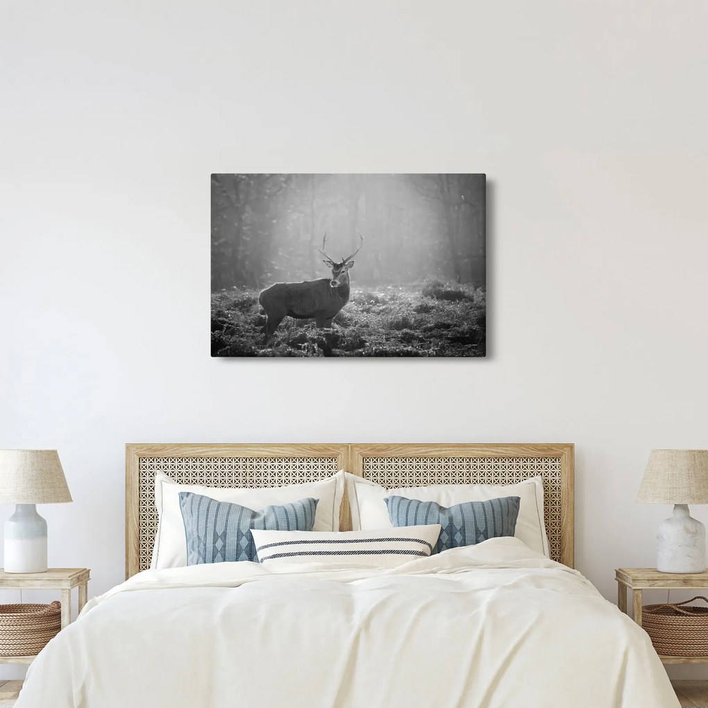 Obraz - Jeleň v lese, čiernobiela (90x60 cm)