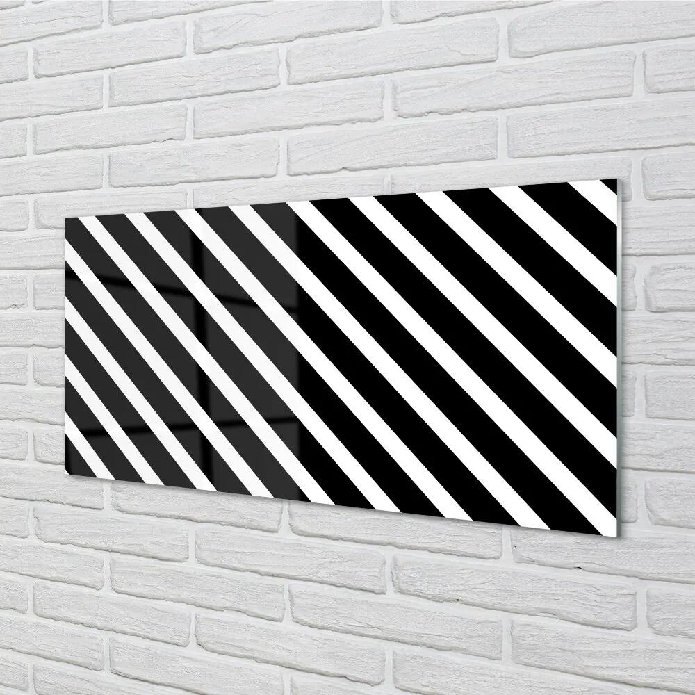 Sklenený obraz zebra pruhy 100x50 cm