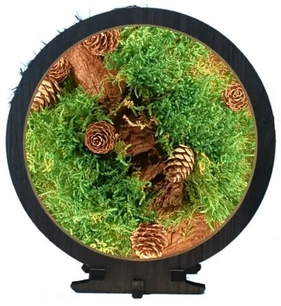 Li-Go 23654 - LED Stmievateľná stolná dekorácia LED/12W/230V 20x22 cm mach