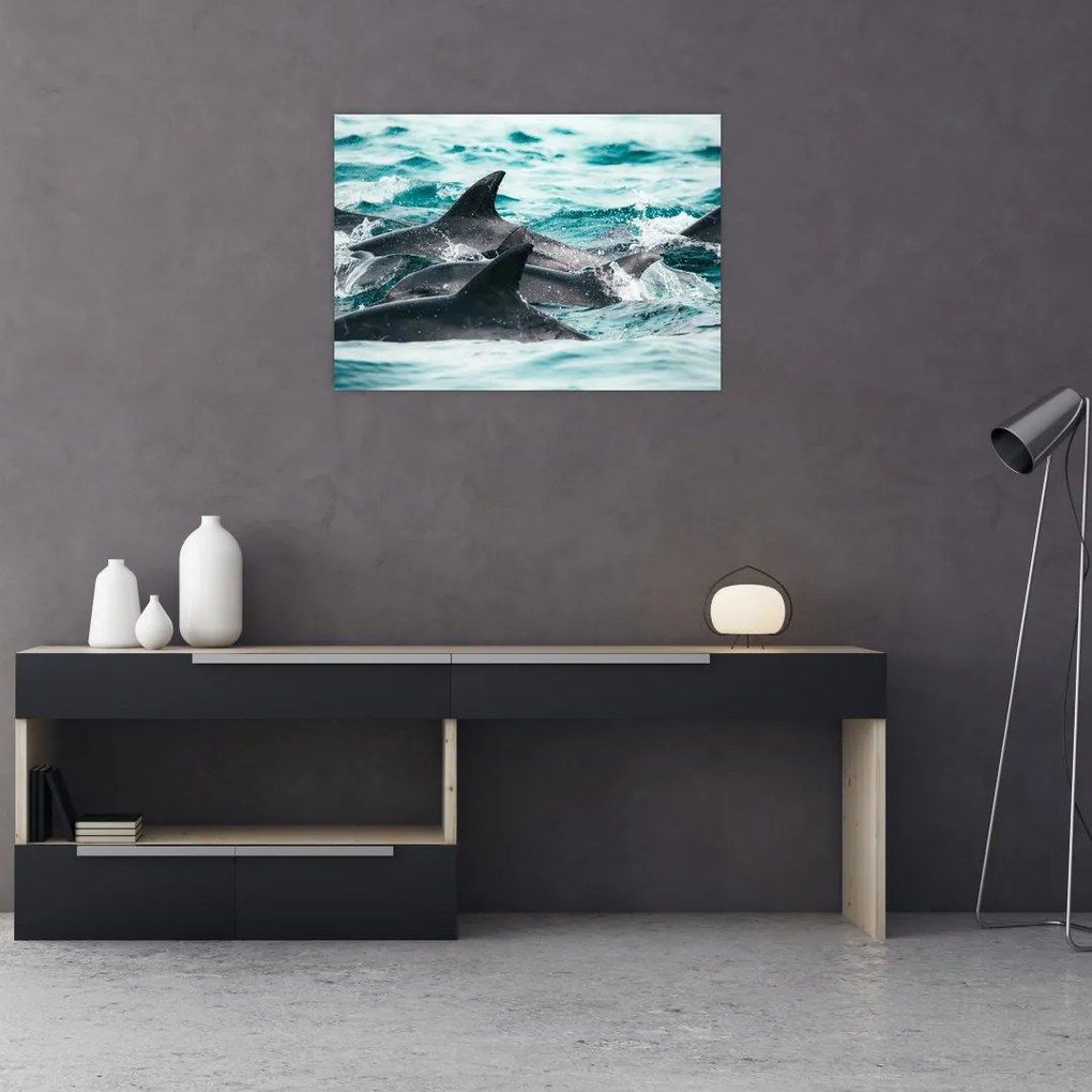 Sklenený obraz - Delfíny v oceáne (70x50 cm)