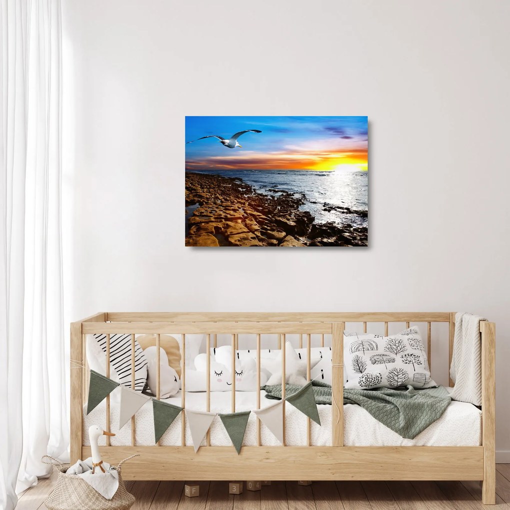 Sklenený obraz - Čajka letiaca nad pobrežím (70x50 cm)