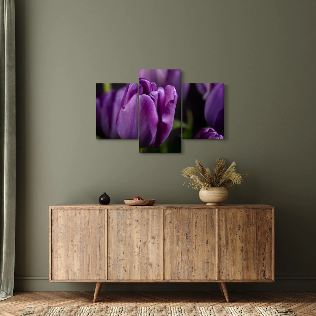 Obraz kvetov tulipánov (90x60 cm)