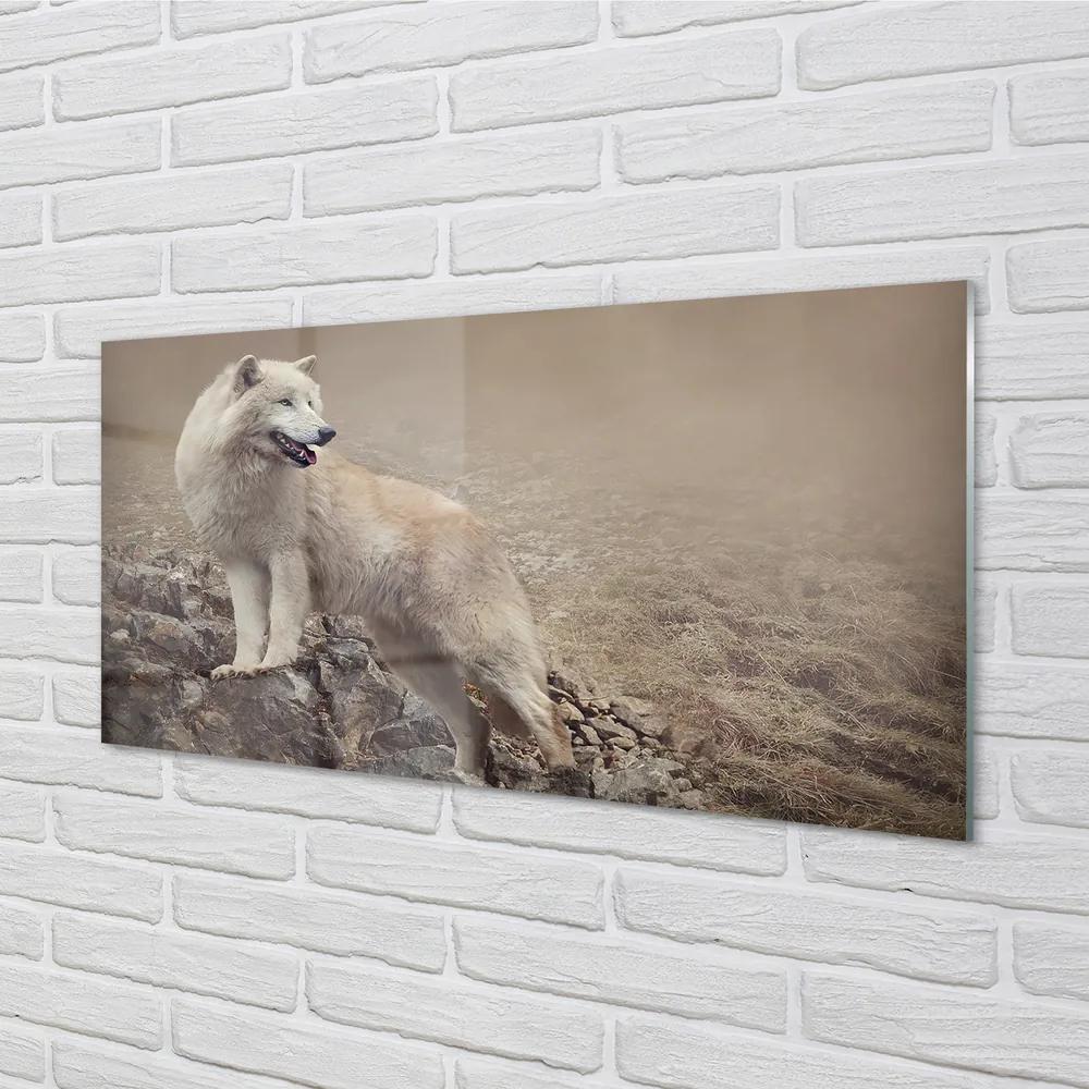 Nástenný panel  vlk hory 120x60 cm