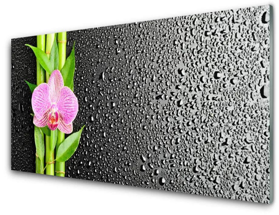 Obraz na skle Bambus stonky kvet rastlina 100x50 cm
