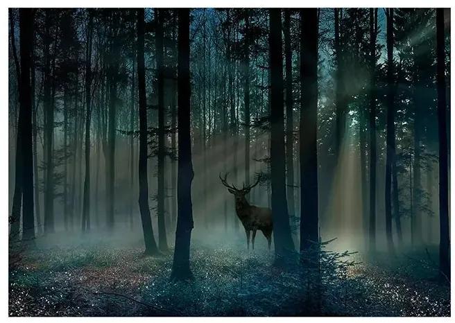 Fototapeta - Mystical Forest - Third Variant Veľkosť: 150x105, Verzia: Premium