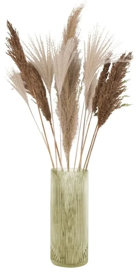 Zelená sklenená váza PT LIVING Allure, výška 30 cm