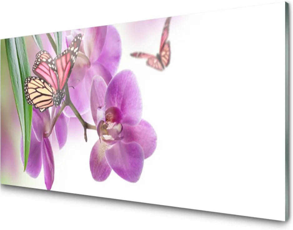 Plexisklo obraz Motýli květiny příroda