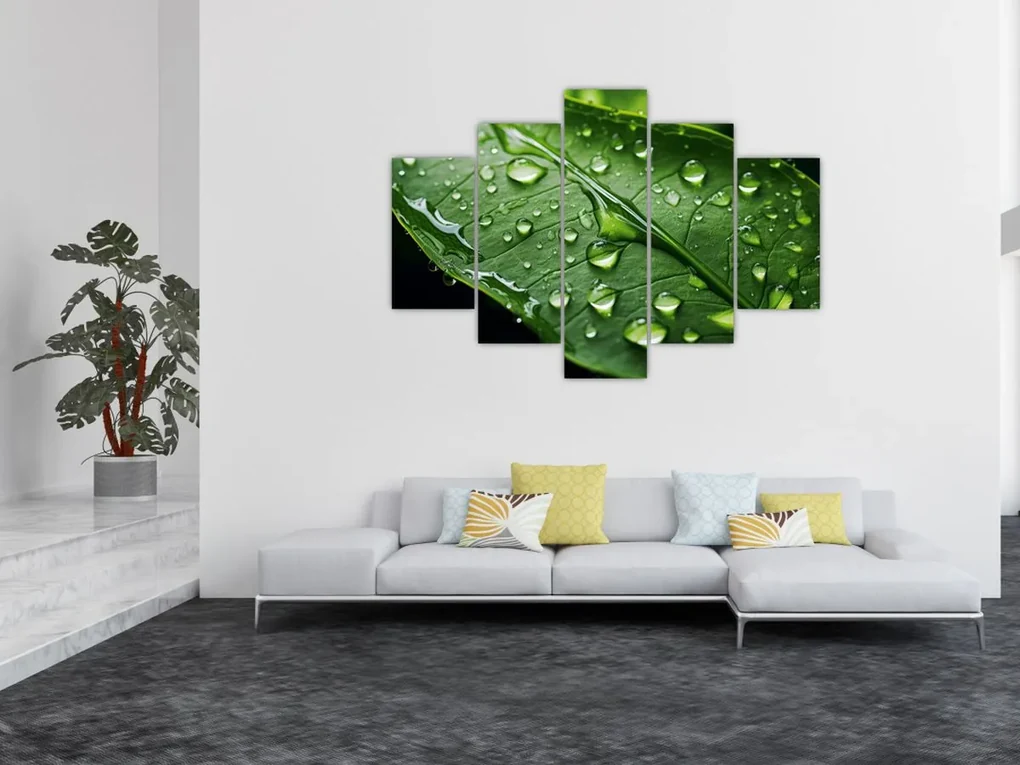 Obraz - List po daždi (150x105 cm)