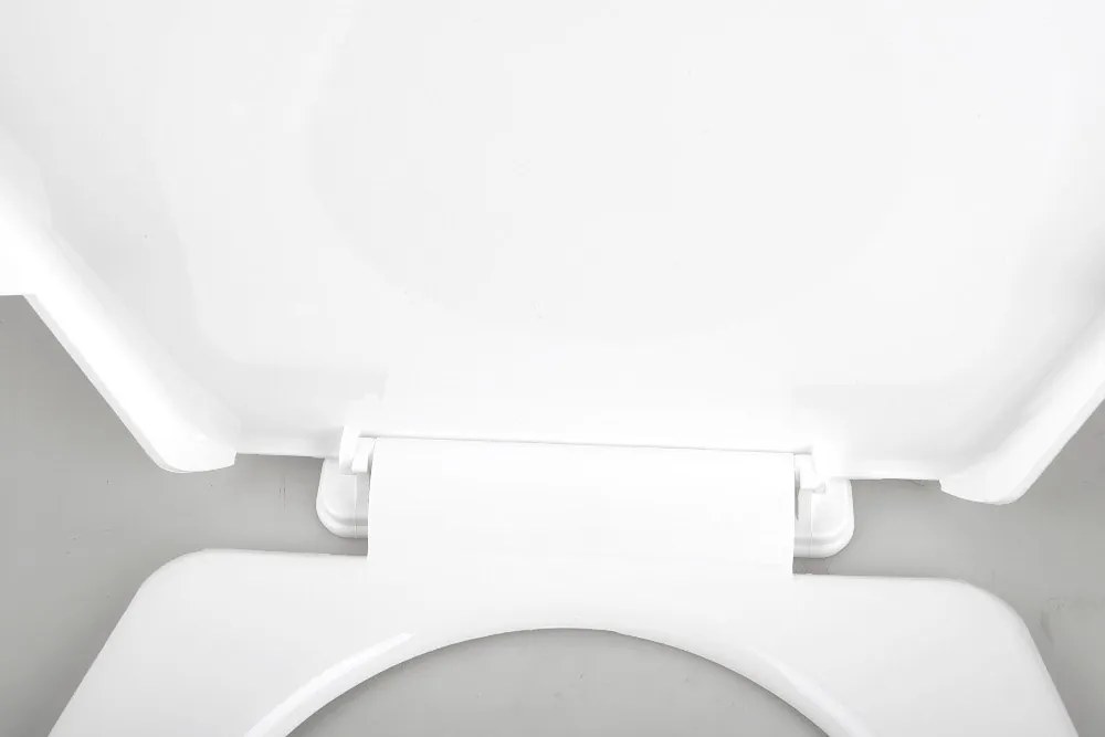 Aqualine Aqualine, REGINA WC sedátko, biela, 3551