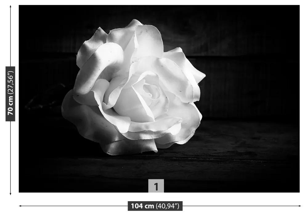 Fototapeta Vliesová Biela ruža 250x104 cm