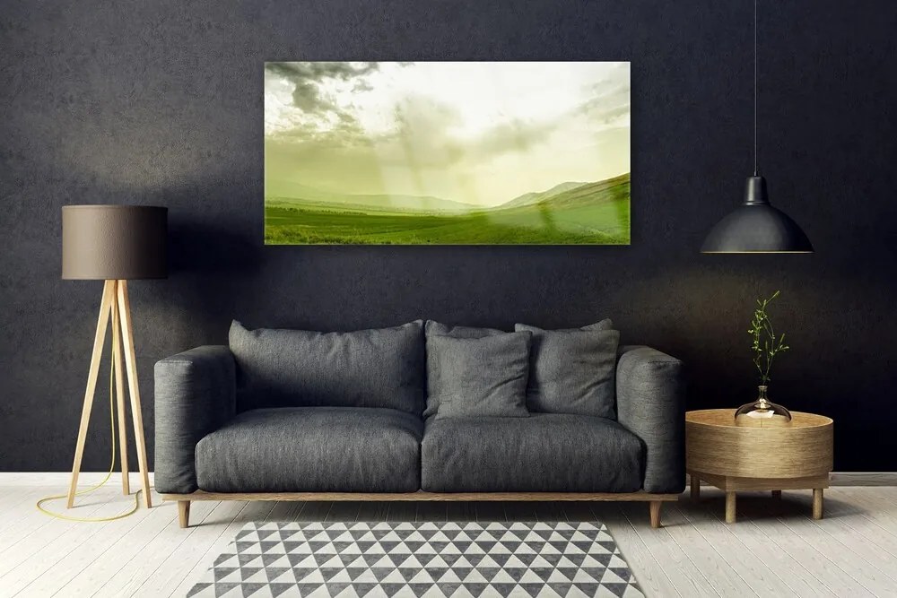 Obraz plexi Lúka príroda zelený výhľad 120x60 cm