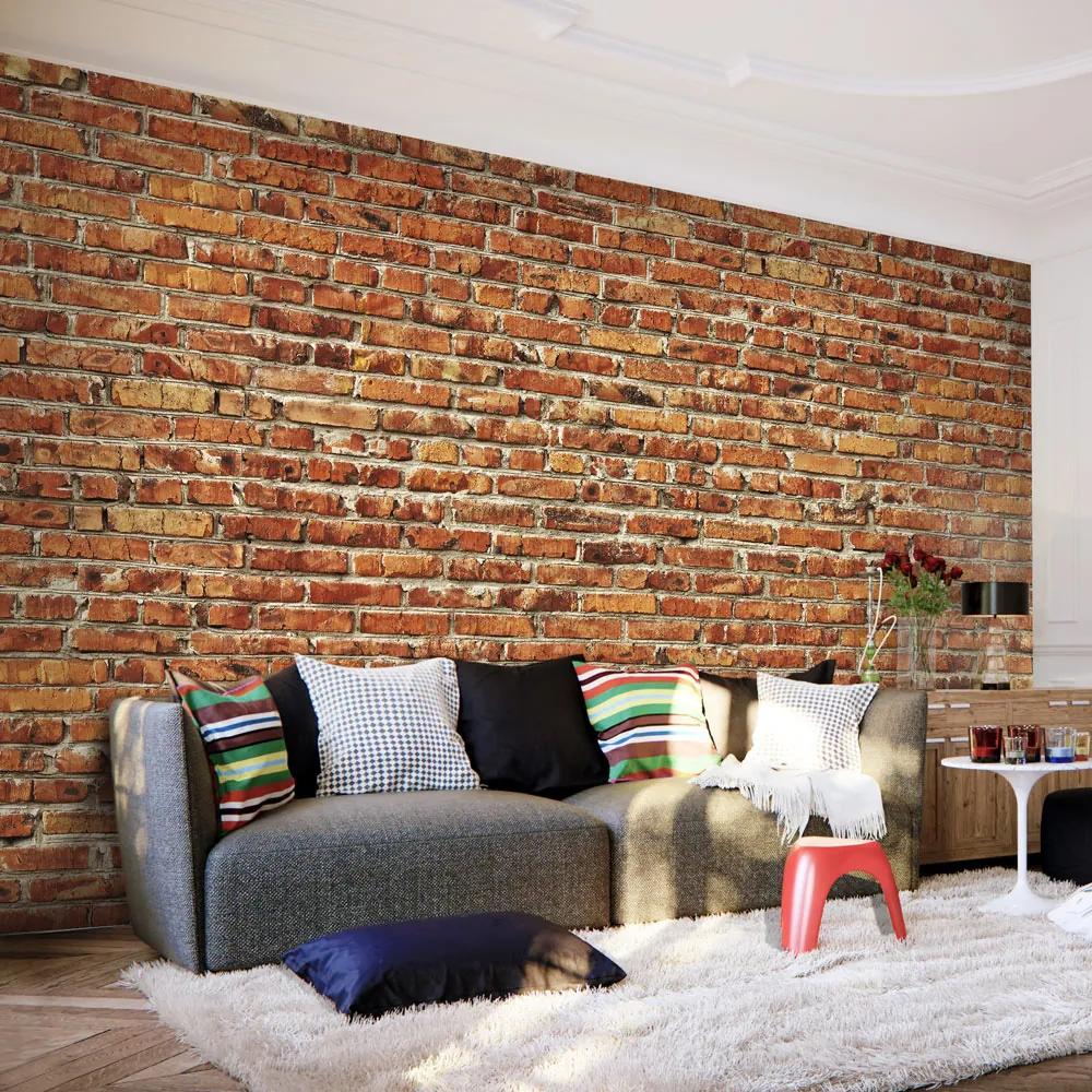 Fototapeta Bimago - Brick Wall No. 2 + lepidlo zadarmo 300x210 cm