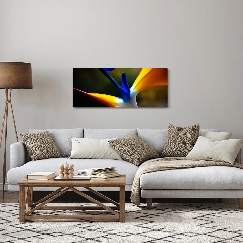 Obraz - Exotický kvet (120x50 cm)