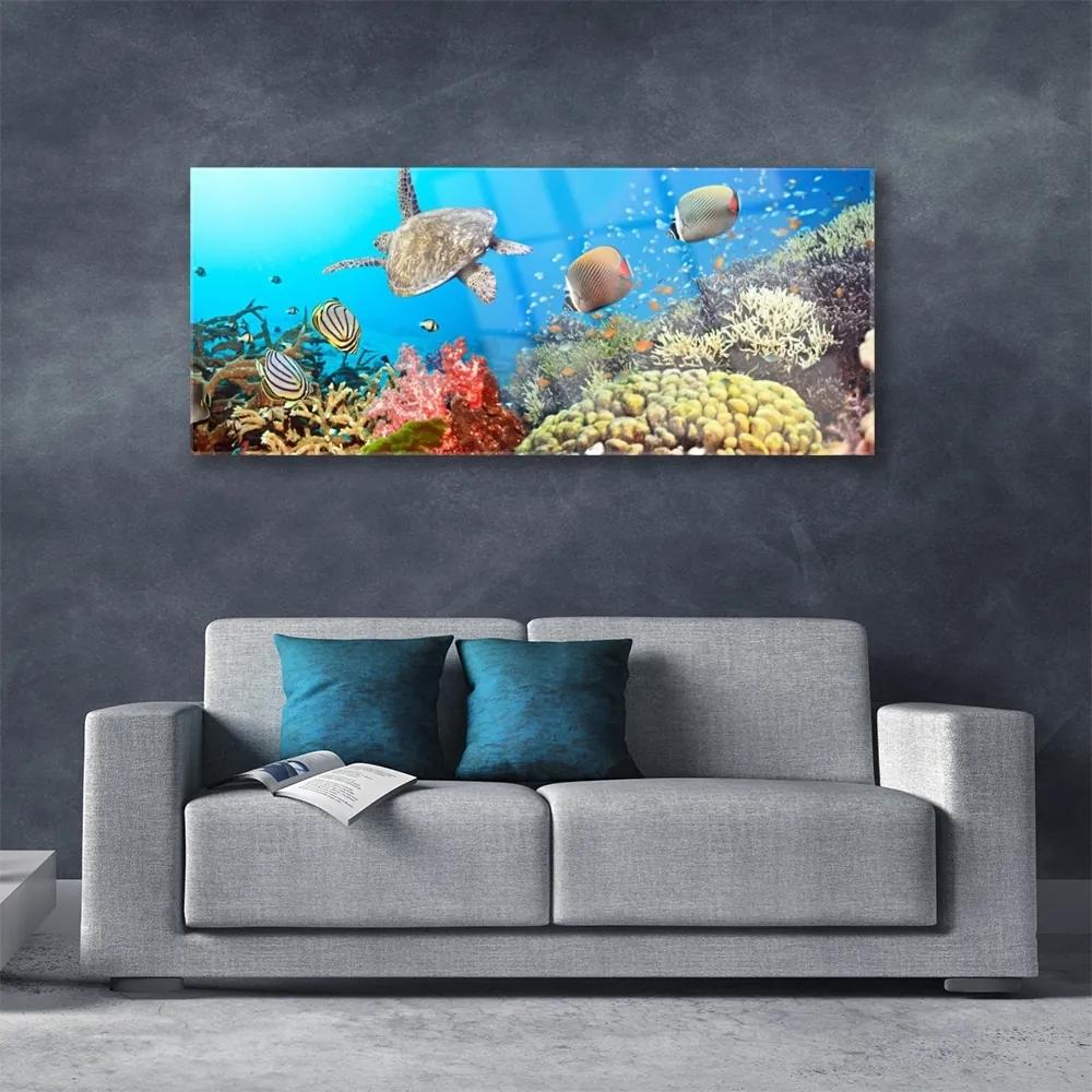 Obraz na akrylátovom skle Koralový útes krajina 125x50 cm